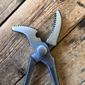 Curved Jaw Clincher North American Surgical