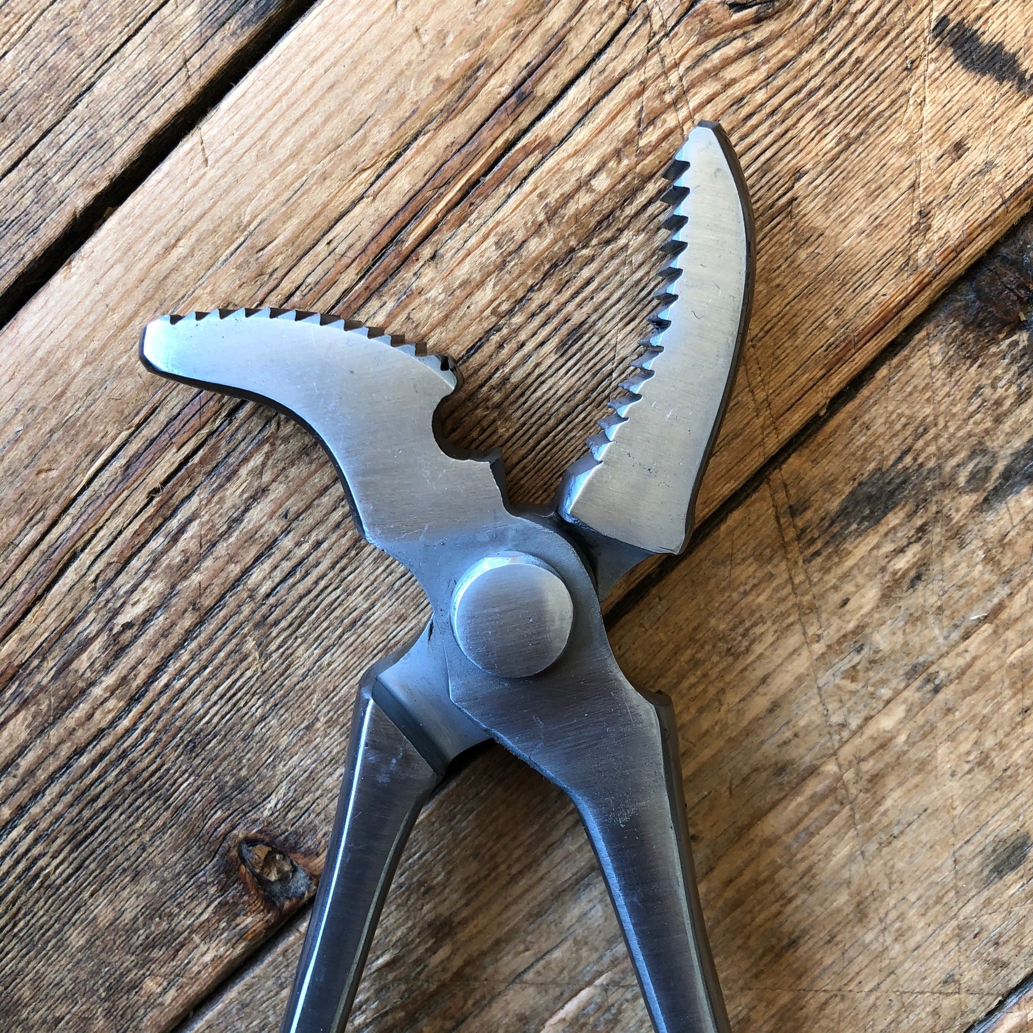 Curved Jaw Clincher North American Surgical