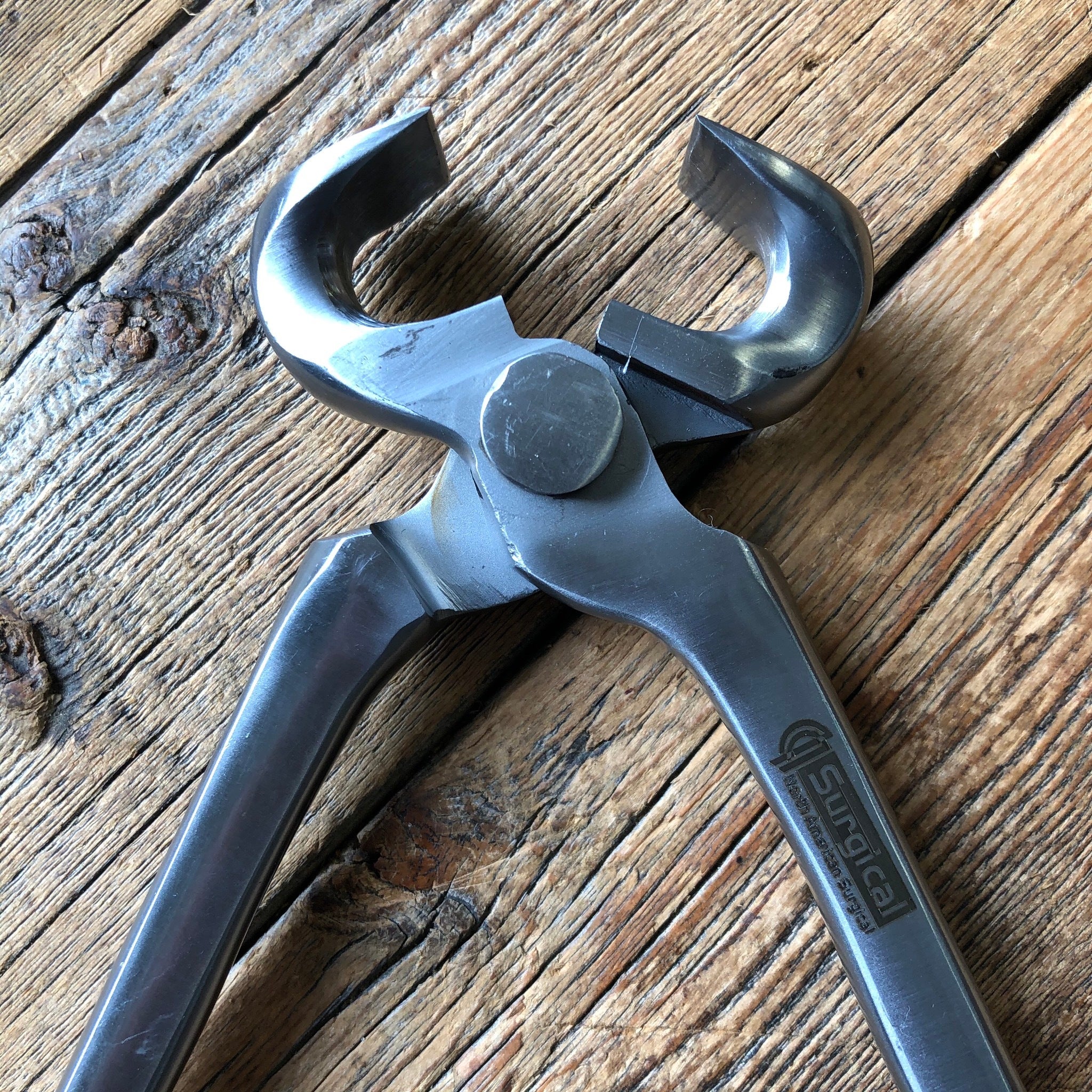 Nipper With Short Head North American Surgical